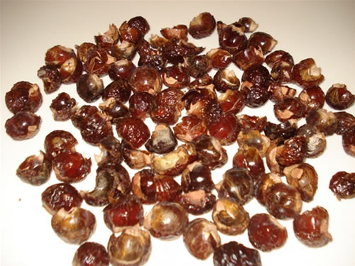 Soap Nut shells