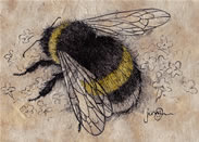 Bumblebee on Verbena Print