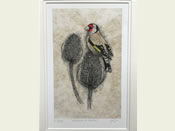 Goldfinch and Teasels Limited Edition Print