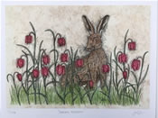 Hare Limited Edition Print