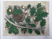 Wren Limited Edition Print